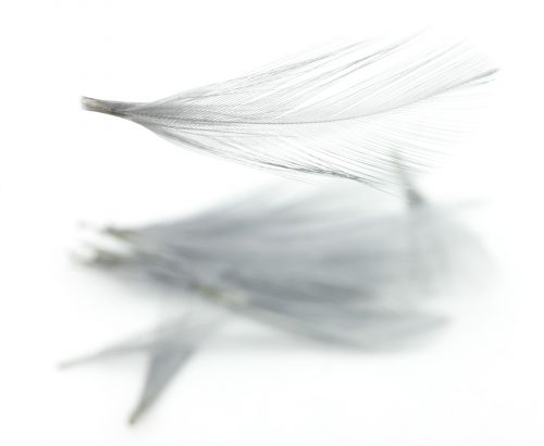 Nature's Spirit Dry Fly Tailing
