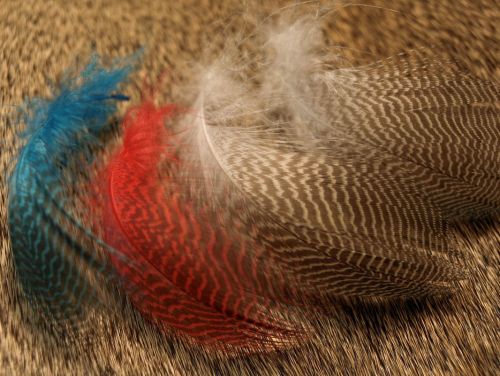 Nature's Spirit Gadwell Flank Feathers