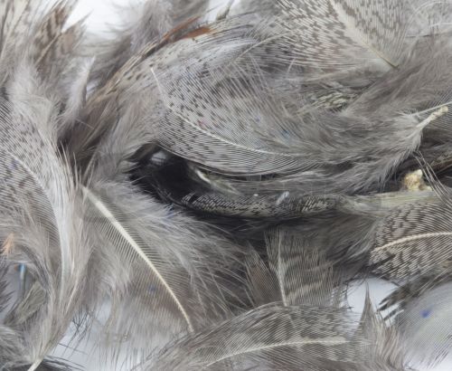 Nature's Spirit Premium Partridge feathers