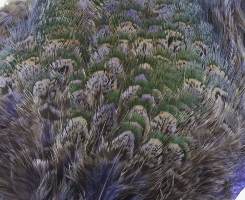 Nature's Spirit Ringneck Pheasant Rump Patch