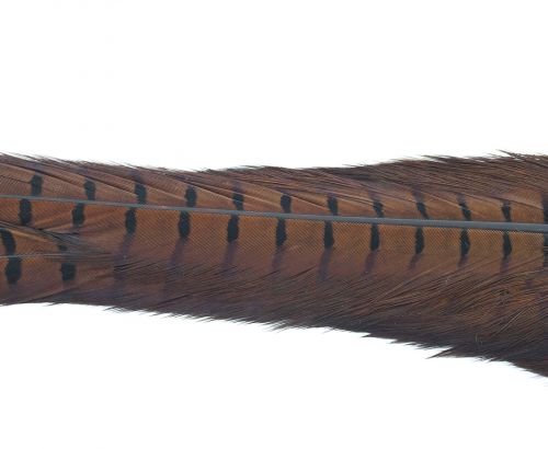 Nature's Spirit Ringneck Pheasant Tail Clumps
