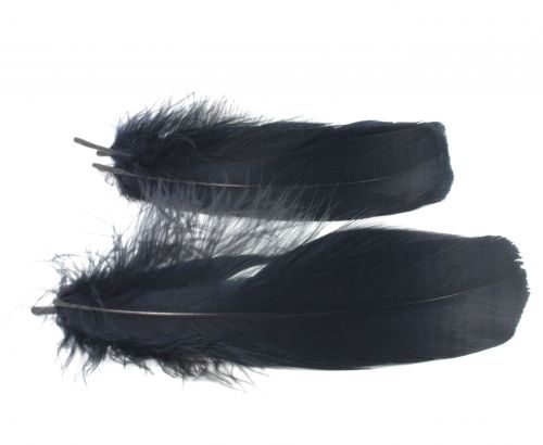 Nature's Spirit Select Goose Shoulder Feathers