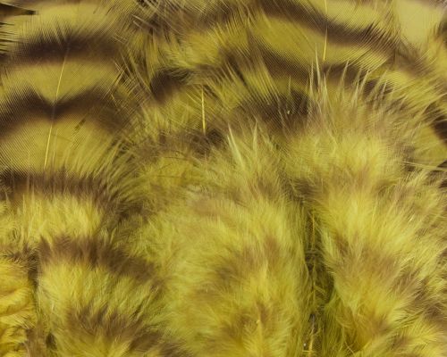 Nature's Spirit Select Grizzly Collaring Hackle (soft hackle)