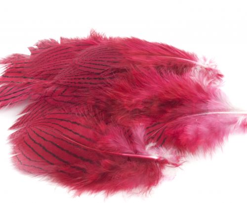 Nature's Spirit Silver Pheasant Body Feathers (Discontinued)