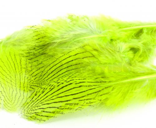Nature's Spirit Silver Pheasant Body Feathers (Discontinued)