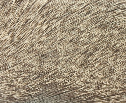Details about   NATURE'S SPIRIT ANTELOPE HAIR FOR FLY TYING YOU PICK SHADE