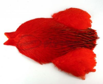 Whiting 4 B's Rooster Cape - Funky Fly Tying