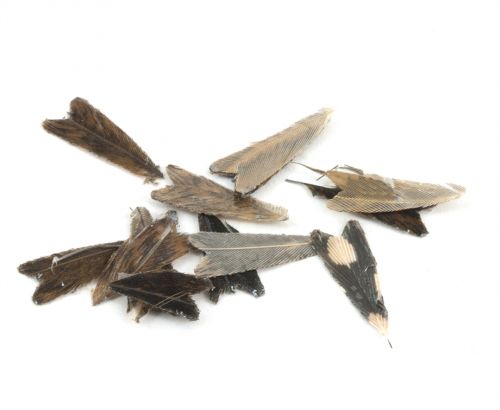 Veniard Natural Feather Caddis Wings