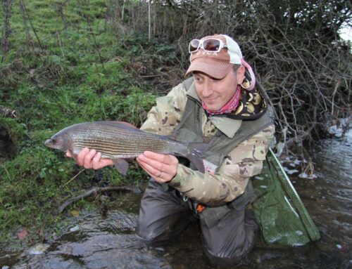 Getting To Grips With Grayling