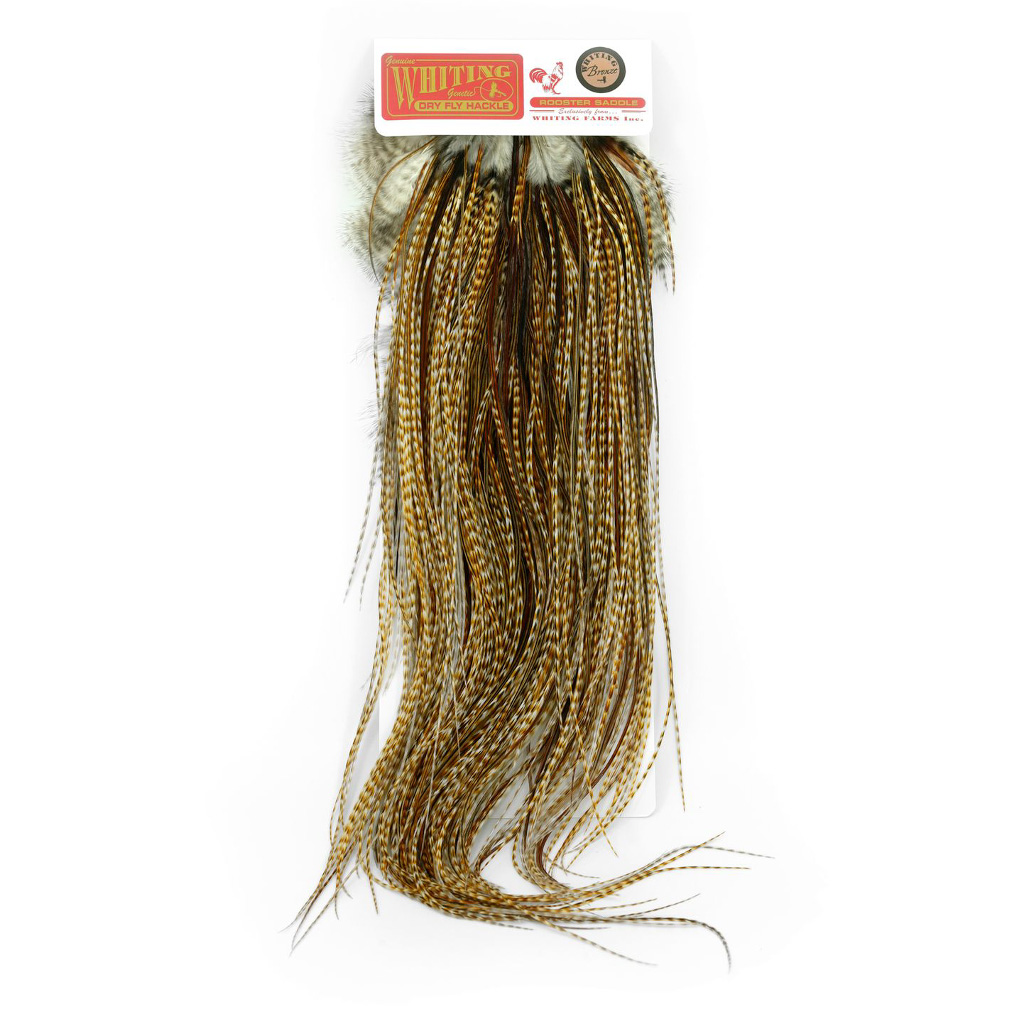 Whiting Bronze Grade Saddle - Image 4