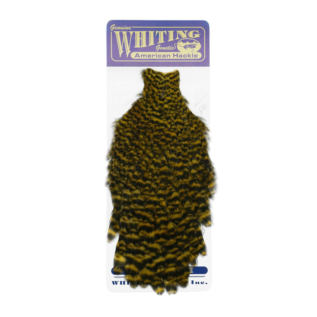 Whiting American Hen Capes - Image 4