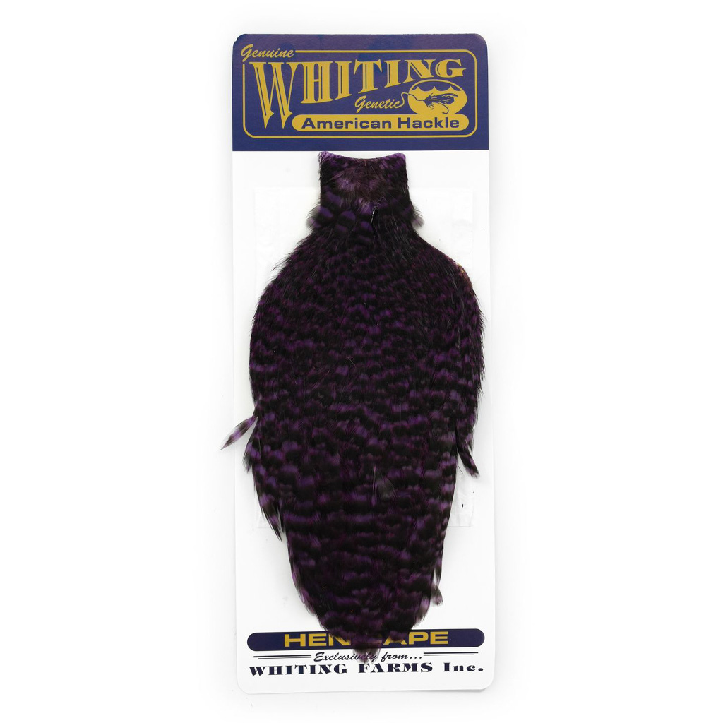 Whiting American Hen Capes - Image 6