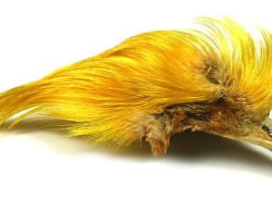 Nature’s Spirit Golden Pheasant Crest - Funky Fly Tying