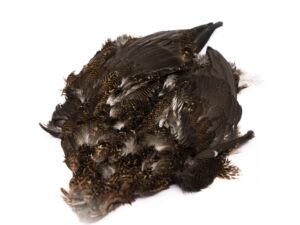 Chevron Grouse Skin - Funky Fly Tying