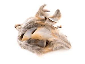 Chevron French Partridge Flank Loose Feathers - Funky Fly Tying