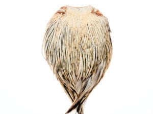 Funky Cock Capes - Funky Fly Tying