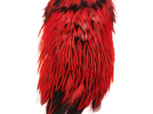 Funky Dyed Badger Saddle – Yellow Badger - Funky Fly Tying