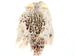 Funky Dyed Badger Saddle - Funky Fly Tying