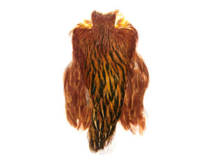 Funky Hen Cape - Funky Fly Tying