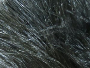 Hareline Marabou Bloods - Funky Fly Tying