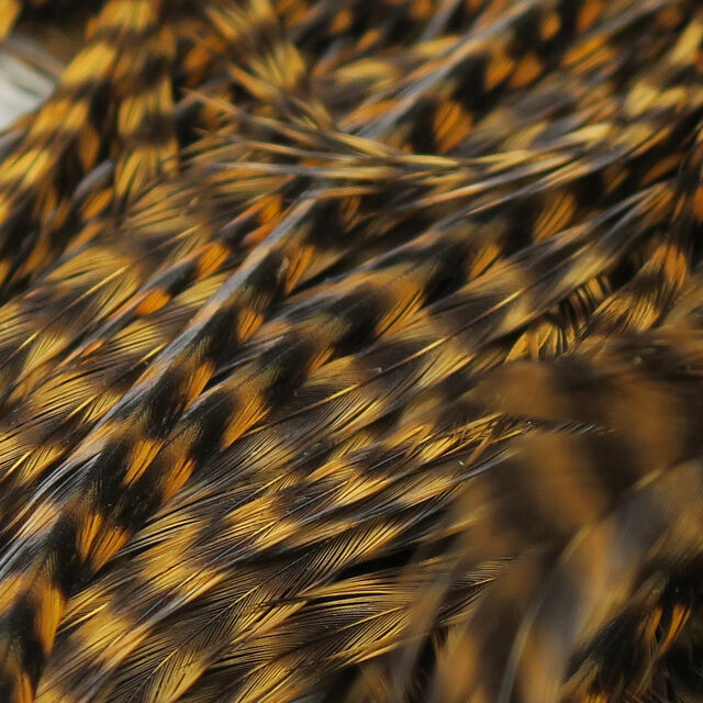 Keough Half Grizzly Saddle Grade #1 - Funky Fly Tying