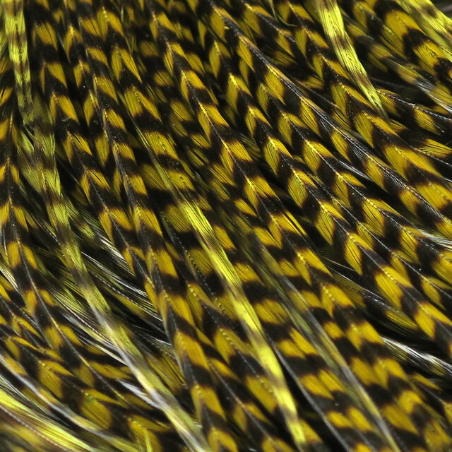 Keough Half Grizzly Saddle Grade #1 - Funky Fly Tying
