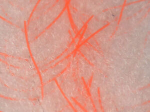 Hareline Lively Legs Crustacean Brush 1 inch - Funky Fly Tying