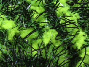 Hareline Large Black Legged Squishenille - Funky Fly Tying