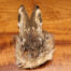 Hareline Hare’s Mask Natural - Funky Fly Tying
