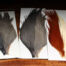 Hareline Tyers 4 Colour Starter Cape Set - Funky Fly Tying