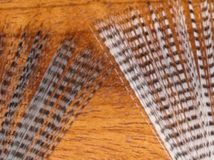 Hareline Barred Mayfly Tail - Funky Fly Tying