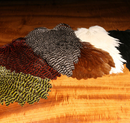 Hareline Hen Saddle - Funky Fly Tying