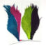Hareline Tyers 4 Colour Dyed Grizzly Salmon Steelhead Starter Cape Set - Funky Fly Tying