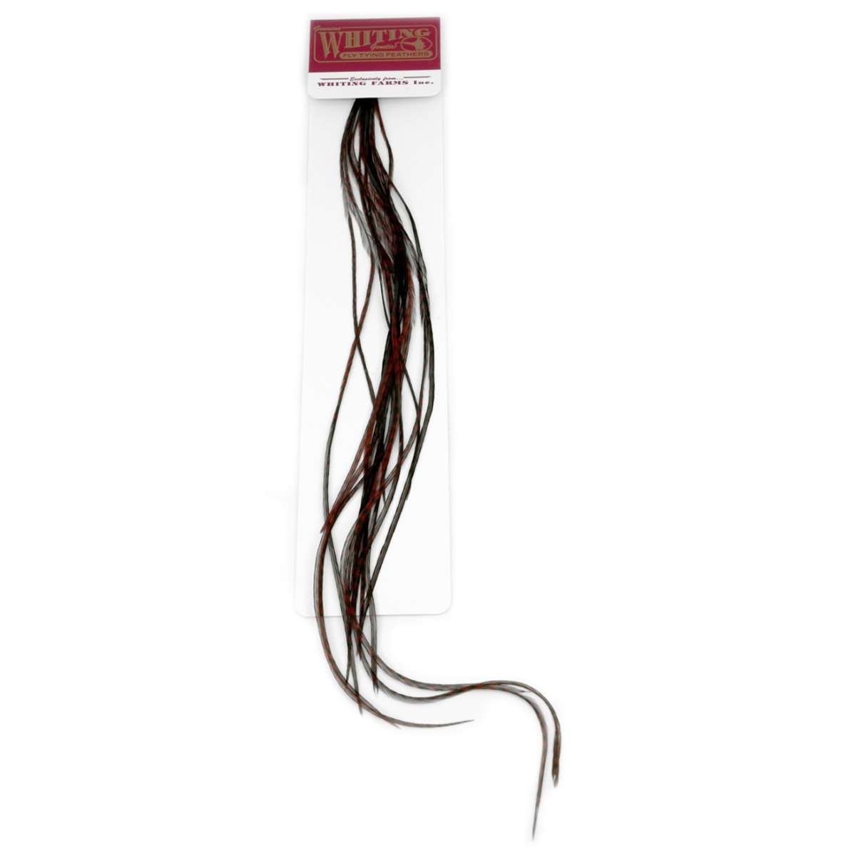 Whiting Saddle 100 Pk - Image 5