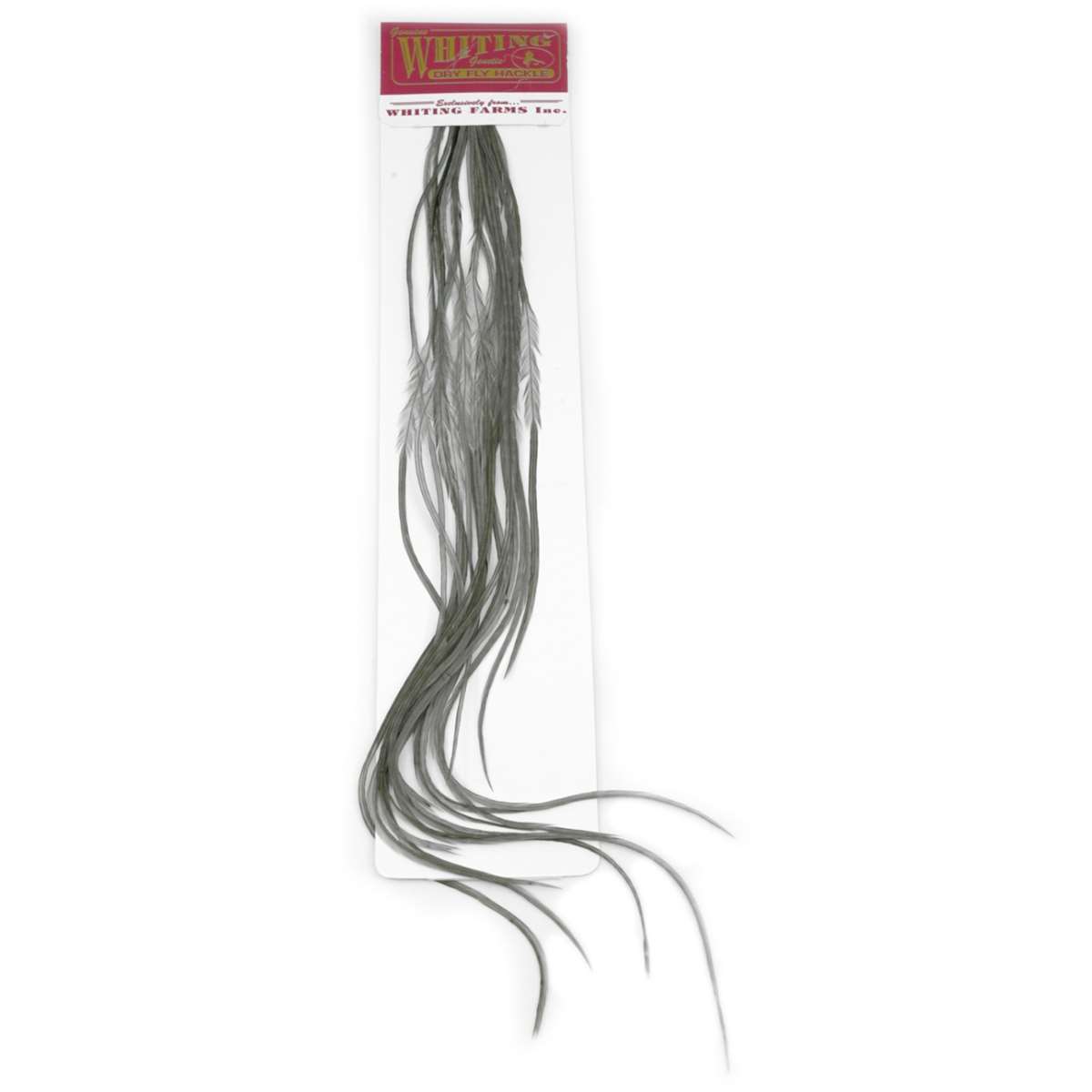 Whiting Saddle 100 Pk - Image 3