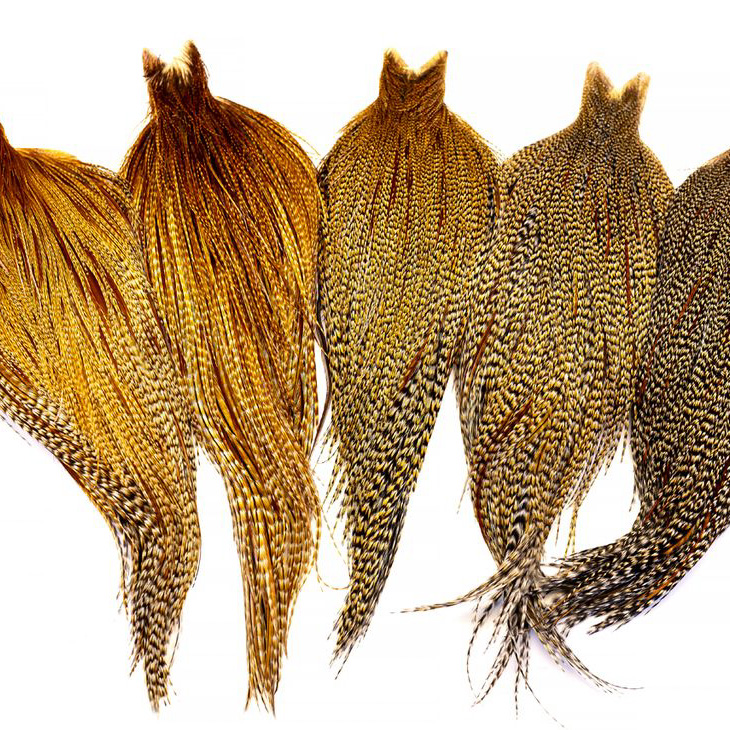 Whiting Heritage Hackle Cape - Image 6
